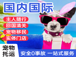 晋江空运公司国际宠物托运 【国